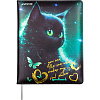 Дневник 1-11 кл. 48 л. "deVENTE. Black Cat" тв. обложка из искусственной кожи с поролоном, цветная п