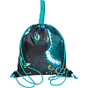 Сумка для сменной обуви "deVENTE. Black Cat" 38x43 см, водоотталкивающая ткань, на веревочной завязк