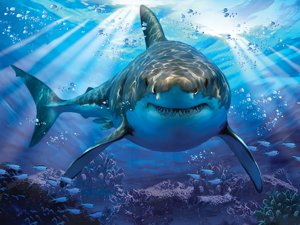Пазл 3D "Большая белая акула", 500 детал., 6+