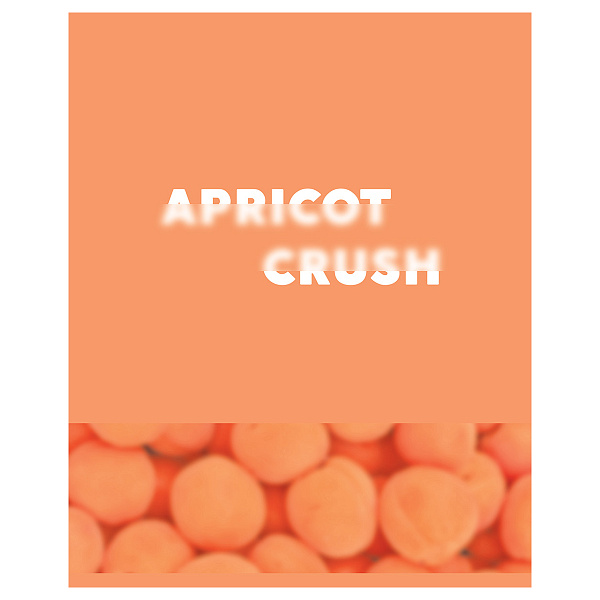Тетрадь А5 48 листов в клетку, BG "Apricot", обложка мелованный картон, матовая ламинация, 60 г/м2