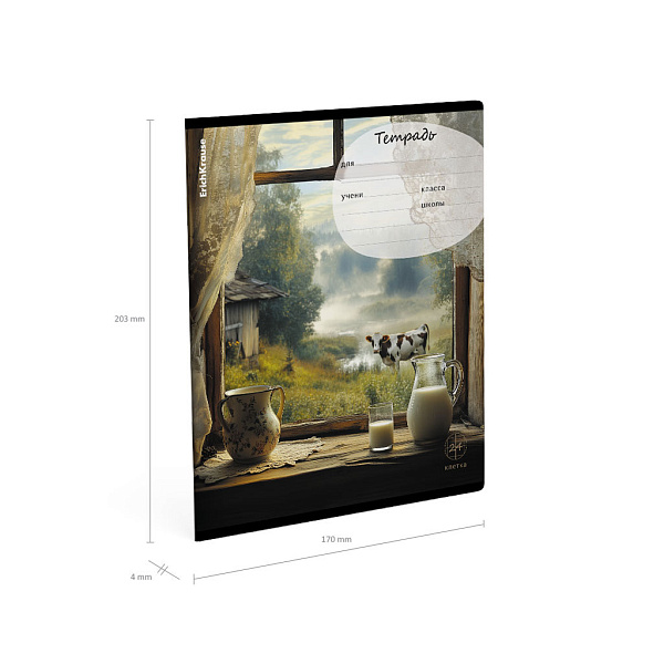 Тетрадь 24 листа в клетку ErichKrause Countryside, MIX-PACK