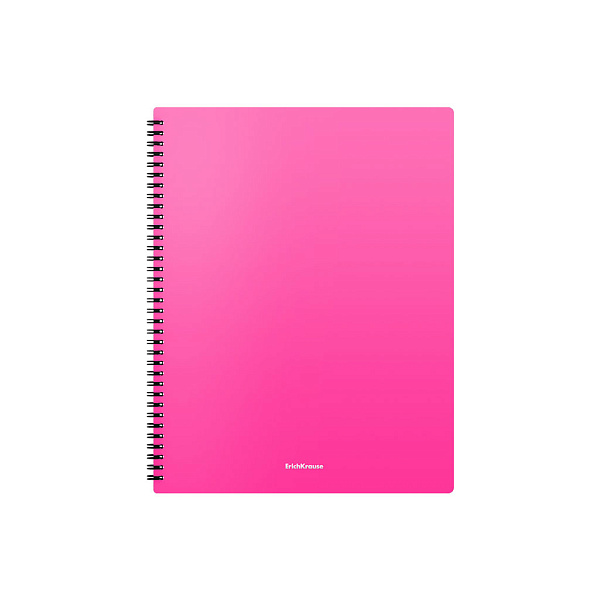 Папка файловая пластиковая на спирали ErichKrause® Matt Neon, с 20 прозрачными карманами, A4, ассорти (в пакете по 4 шт.)