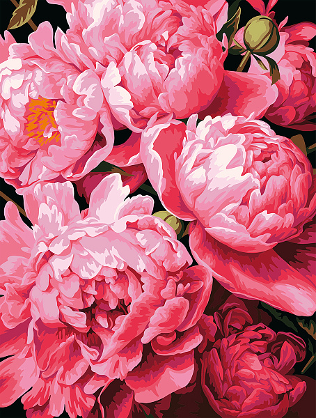 Картина по номерам 40*30 "Ароматные пионы" "ФРЕЯ"