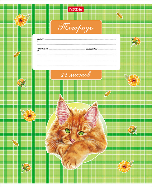 Тетрадь 12 л. кл. "Котики бывают разными" 65г/кв.м 5 диз.в блоке скругл.углы 