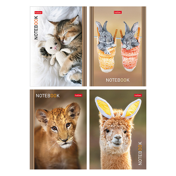 Блокнот А6 24 л. кл. "В мире животных" на скобе Обл. мел.бумага глянц. ламин. 16 дизайнов в коробе