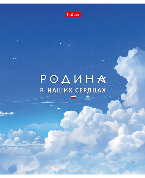 Тетрадь 48 листов в клетку "Я люблю Россию" 60-65г/кв.м на скобе Обл. мел.картон 5 диз.в блоке скругл.углы
