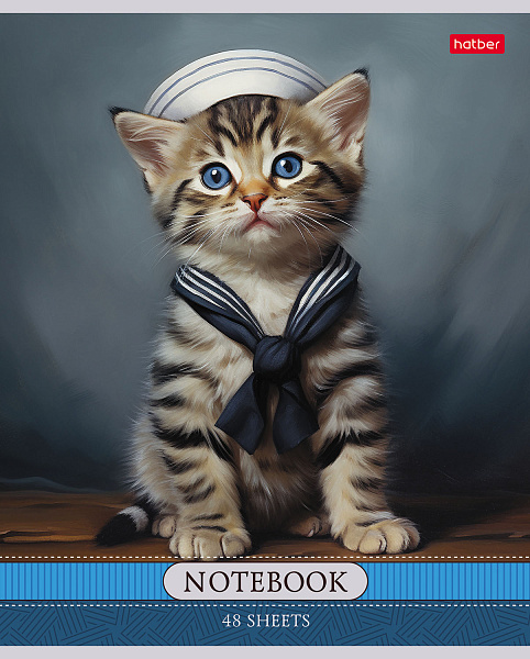 Тетрадь 48 л. кл. "Котики-артисты" 65г/кв.м 5 диз.в блоке скругл.углы