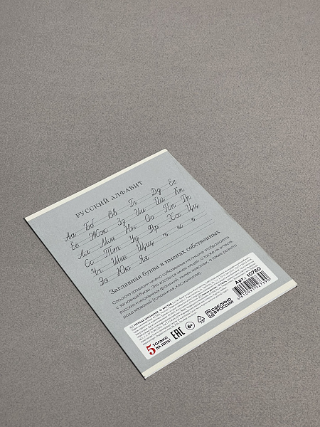 Тетрадь 12 листов в косую линию СЕРАЯ, обложка из мелованного картона (200г/м2), блок офсет (92%, 60г/м2)