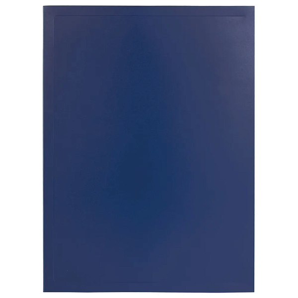 Короб архивный 100 мм, пластик,на кнопке, до 900 листов, синий, 0,9 мм