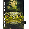 Разделитель листов "deVENTE. Nature" A5 (160x210 мм) ламинированный мелованный картон 210 г/м2, с рисунком, 8 шт, индивидуальная упаковка