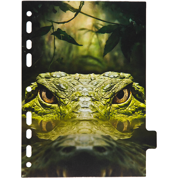 Разделитель листов "deVENTE. Nature" A5 (160x210 мм) ламинированный мелованный картон 210 г/м2, с рисунком, 8 шт, индивидуальная упаковка