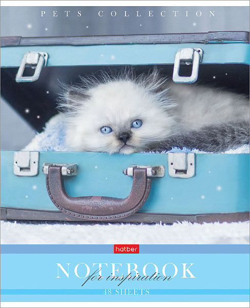Тетрадь 48 л. кл. "Усы, лапы, хвост" 65г/кв.м 5 диз.в блоке скругл.углы 