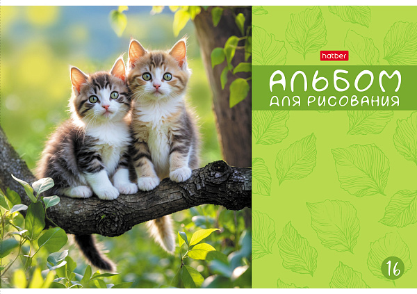Альбом для рисования 16 листов "МяУсы" А4ф на скобе  обл. мел. картон 5 диз.в блоке