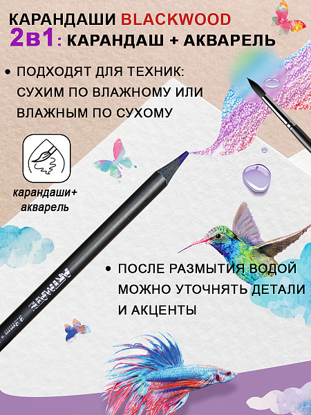 Карандаши 12 цв. акварельные ACMELIAE Blackwood +кисточка, металл футляр