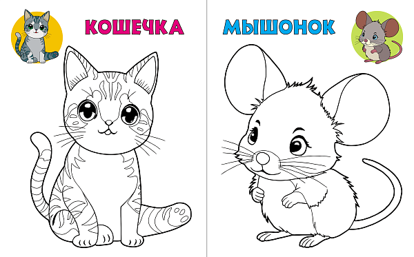 Раскраска А5 ПОСМОТРИ И РАСКРАСЬ.ХОМЯЧОК