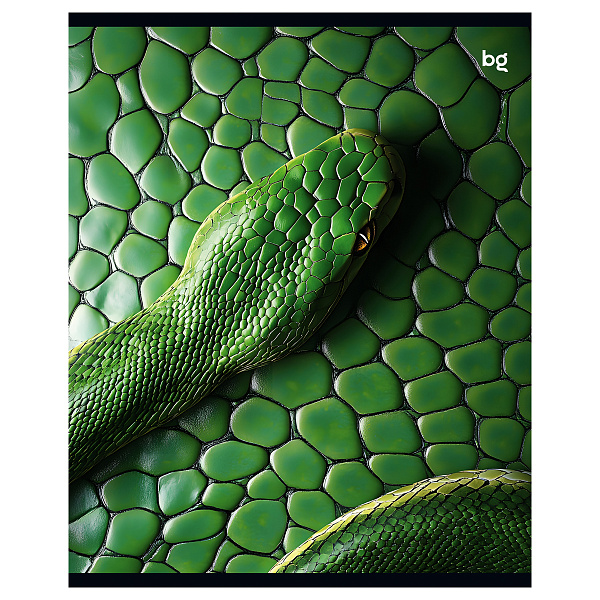 Тетрадь А5 48 листов в клетку, BG "Snake", обложка мелованный картон, выборочный уф-лак, 60 г/м2