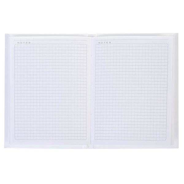 Записная книжка А6 80 л. кл. тв.переплет глянц. ламин. "Лягух Кир"