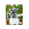Тетрадь 18 листов в линию "Lemur Style", ErichKrause, ассорти
