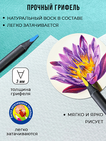 Карандаши 12 цв. ACMELIAE трехгранне в картонном футляре,