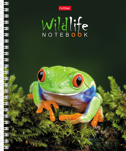 Тетрадь А5 80 листов в клетку на гребне, "ЗОО мир", обложка мелованный картон, 60 г/м2