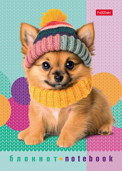 Блокнот А6 24 л. кл. "Песики и котики" на скобе Обл. мел.бумага глянц. ламин. 8 дизайнов в блоке