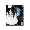 Тетрадь 18 листов в линию "Timber Wolf" ErichKrause (в плёнке по 10 шт.)_MIX-PACK