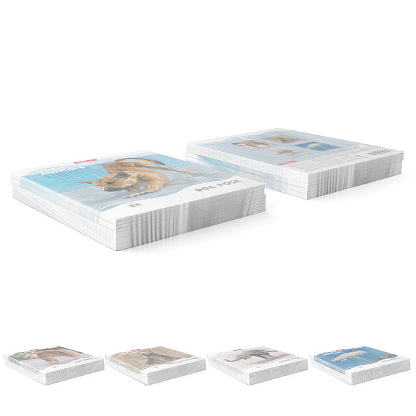 Тетрадь 48 л. кл. "Yoga Style" матовая ламинация ErichKrause _MIX-PACK