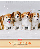 Тетрадь 48 л. кл. "Усы, лапы, хвост" 65г/кв.м 5 диз.в блоке скругл.углы 
