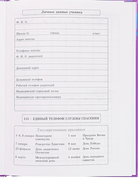 Дневник 1-11 кл. 40 л. тв.переплет "ЗЕЛЁНЫЙ СКЕЙТЕР" глянц.лам. TM"Profit"