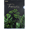 Папка-уголок А4 "deVENTE. Tropicana" 180 мкм, непрозрачная с рисунком, тиснение фольгой, 2 дизайна ассорти