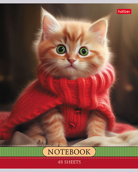 Тетрадь 48 л. кл. "Котики-артисты" 65г/кв.м 5 диз.в блоке скругл.углы