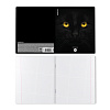 Тетрадь 96 листов в клетку "Cats", матовая ламинация  ErichKrause _MIX-PACK