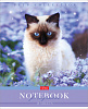 Тетрадь 48 л. кл. "Усы, лапы, хвост" 65г/кв.м 5 диз.в блоке скругл.углы 