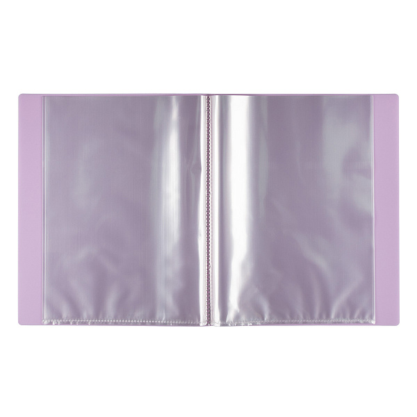 Папка 40ф А4 "Expert Complete" Trend Pastel "Pastel"  600 мкм 20 мм диагональ лиловый EC27041740