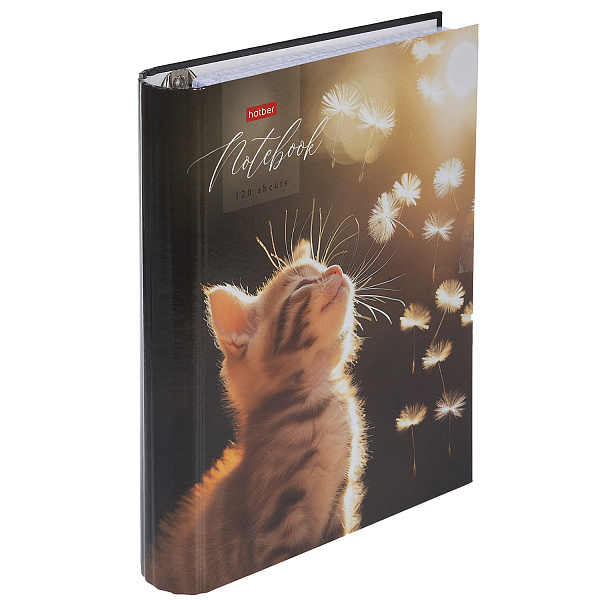 Тетрадь на кольцах А5 120 листов в клетку "Солнечный котик" 60-65г/кв.м с круглым корешком глянц. ламин. в индив.упак.