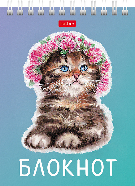 Блокнот А6 40 л. кл. на гребне "Котики бывают разными" Обл. мел.картон УФ-лак