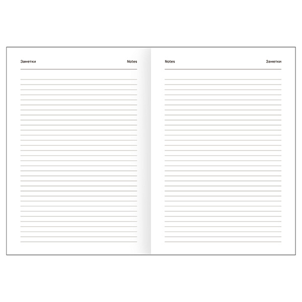 Ежедневник недатированный А5, 160 листов, обложка бумвинил Черный