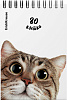 Блокнот А6 80 л. кл. на спирали ErichKrause Котики, MIX-PACK