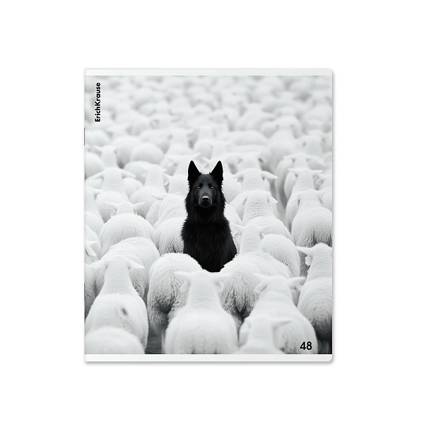 Тетрадь 48 листов в клетку "Black Focus", матовая ламинация+выборочный УФ-лак ErichKrause _MIX-PACK