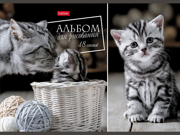 Альбом для рисования 48 листов "Ассорти"