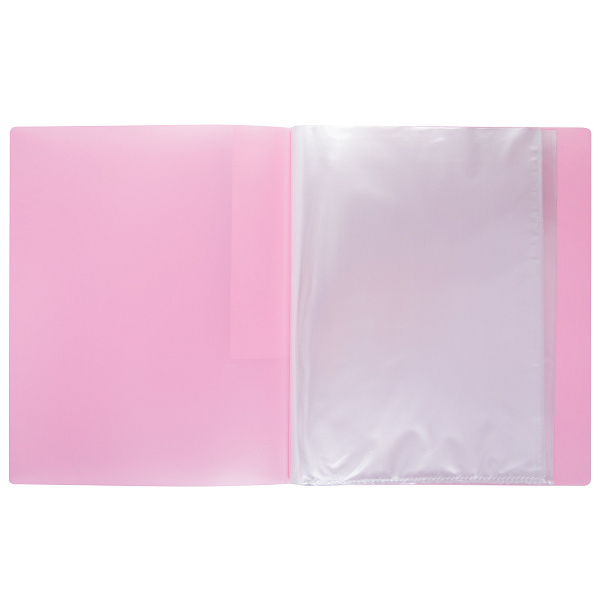 Папка 20ф А4 "Expert Complete" Trend ICEberries 600 мкм  20 мм  1 шт. клубника