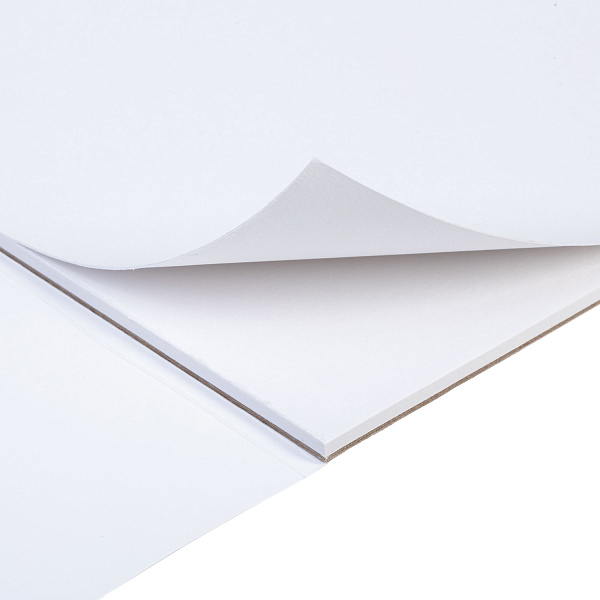 Альбом для рисования 10 листов "Паровоз в горах" и художественных работ А4ф 220гр отрывная склейка жесткая подложка обл. мел. бумага мат ламин,тиснение