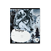 Тетрадь 18 листов в линию "Timber Wolf" ErichKrause (в плёнке по 10 шт.)_MIX-PACK