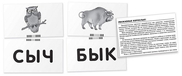 ОГ1. Жук. Читаем слова-слоги. Набор карточек \ Штец А. А.
