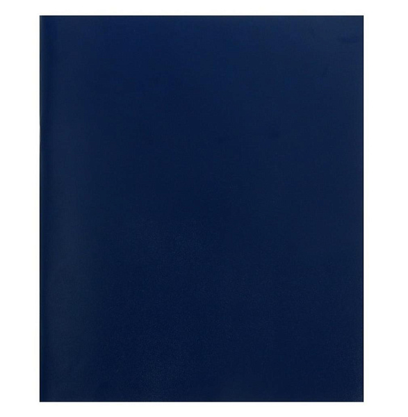 Тетрадь 96 листов, клетка, обложка бумвинил синий, блок №2