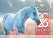 Календарь 2026г 3х-блоч. 295*660 мм INDEX Символ года3, на 3-х пружинах, складной с курсором,пикколо