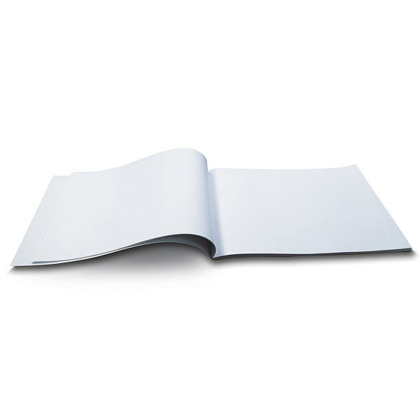 Альбом д/рис. 48 л. "Большие кошки"  100 г/м2  A4   29 х  20.5 см  на скобе  "Светоч"