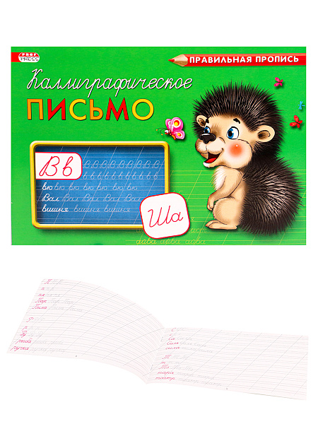 Пропись А5 Каллиграфическая "КАЛЛИГРАФИЧЕСКОЕ ПИСЬМО" альбомный  8л.,обл.-цветн мел.бумага