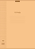 Тетрадь А4 48 л. кл. Пластиковая обложка ErichKrause® Классика CoverPrо Neon, оранжевый