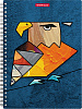 Тетрадь с пластиковой обложкой на спирали ErichKrause Birds, ассорти, А5, 80 л. кл. 